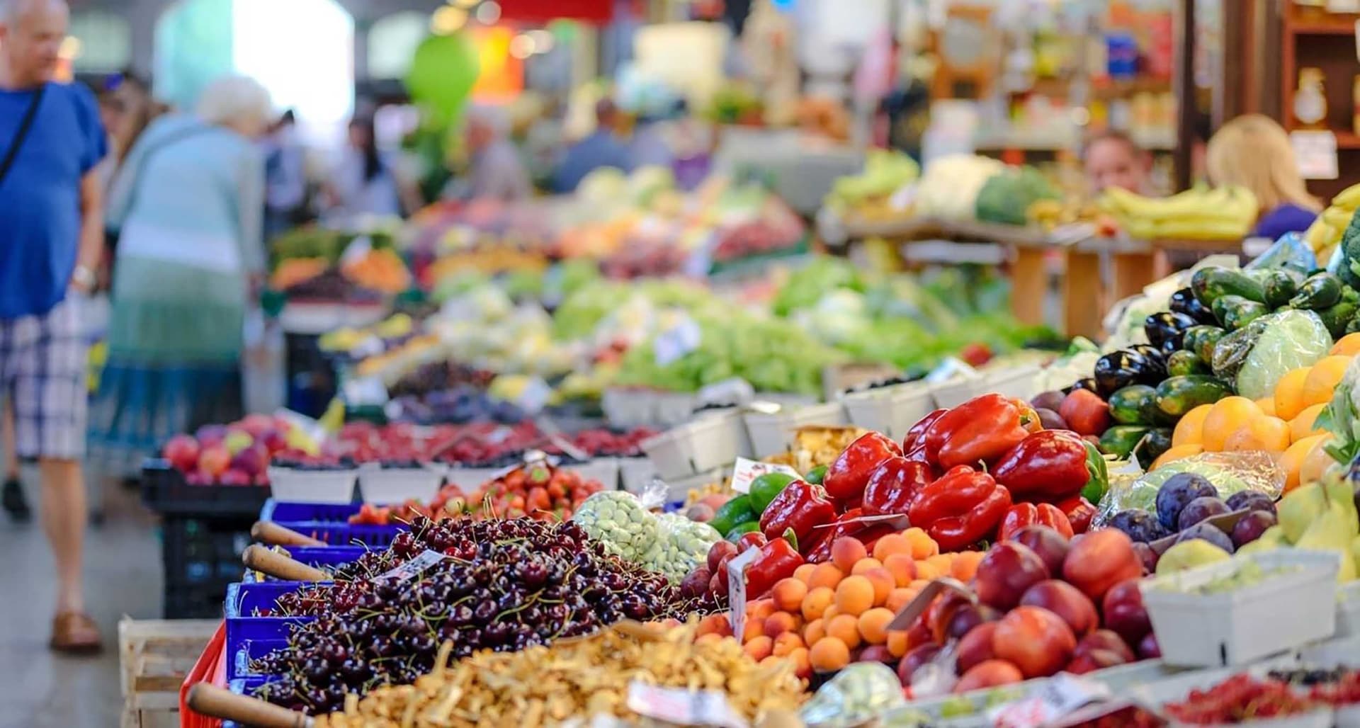 Portugal-based international group operating in the food distribution relies on Zalaris for HR solution story