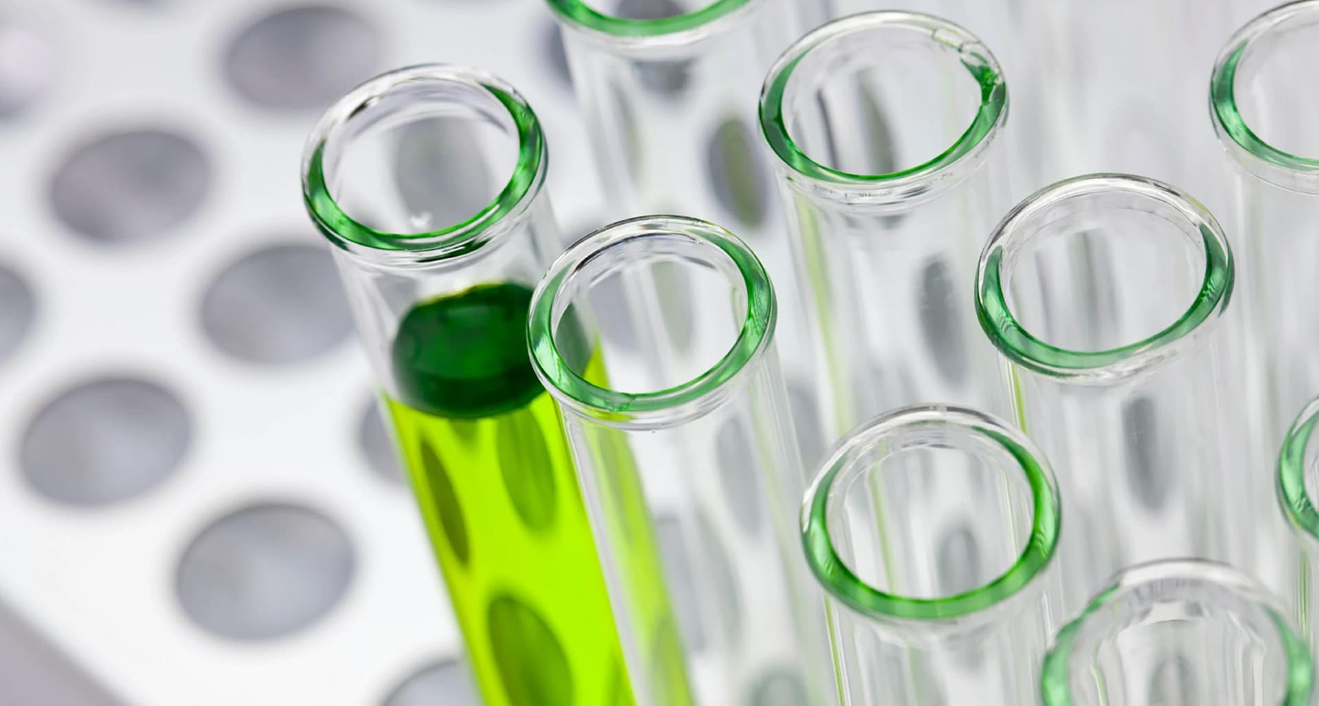 Leading European fertilizer & chemical company relies on Zalaris for HR solution story