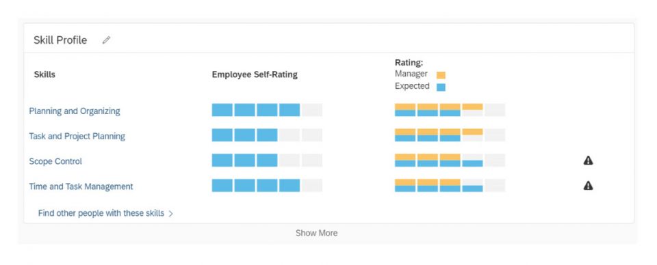  The skills profile portlet