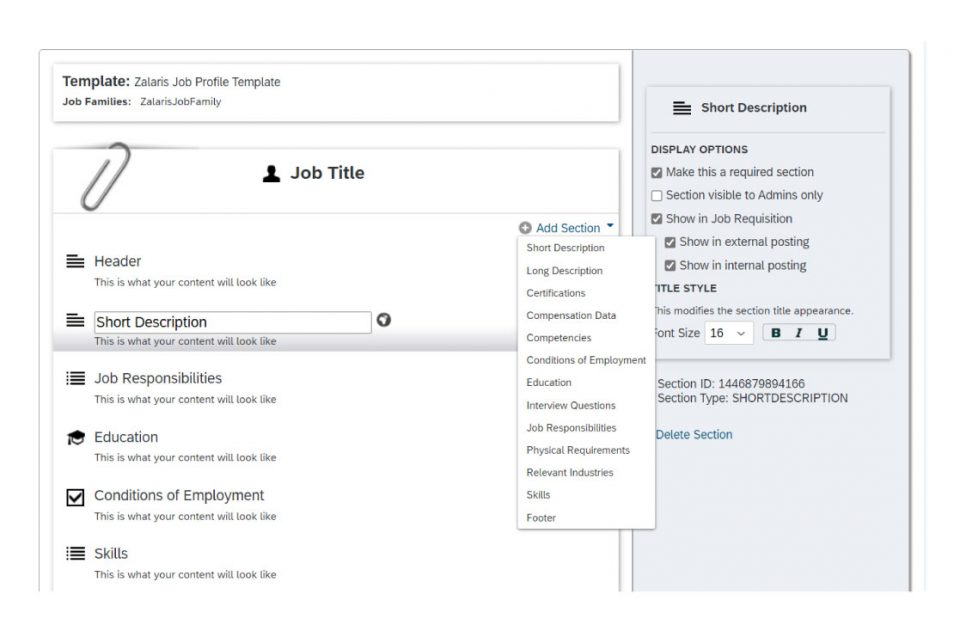 An example of a Job Profile Template